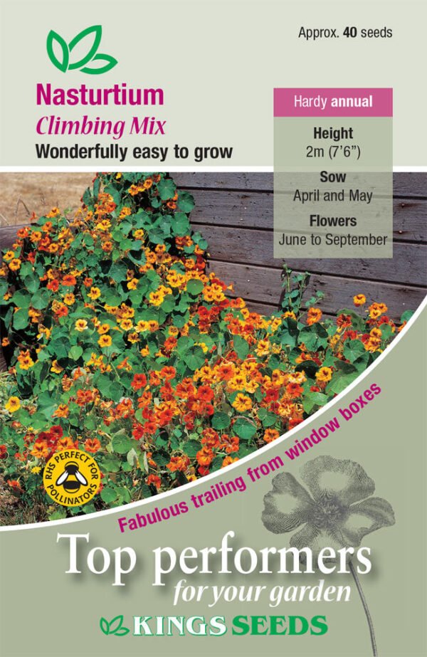 Kings Seeds Nasturtium Tall Single Mixed 40 Seeds
