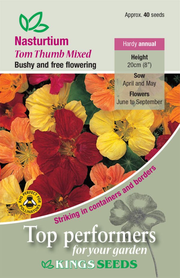 Kings Seeds Nasturtium Tom Thumb Mixed 40 Seeds