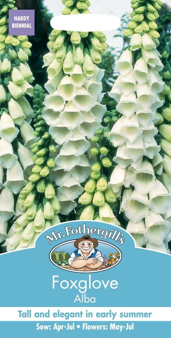 Mr Fothergills Foxglove Digitalis Alba 1000 Seeds